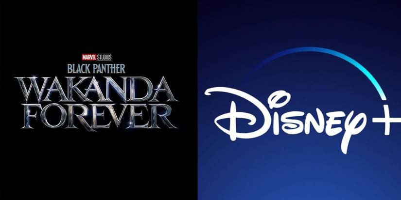 Black Panther Wakanda Forever Disney