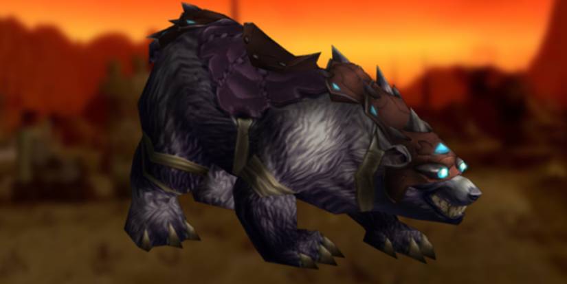 Black War Bear wotlk wow