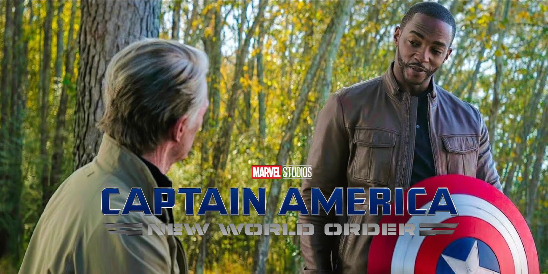 Captain America New World Order Title Meaning