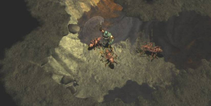 Champions of Norrath fighting giant insects