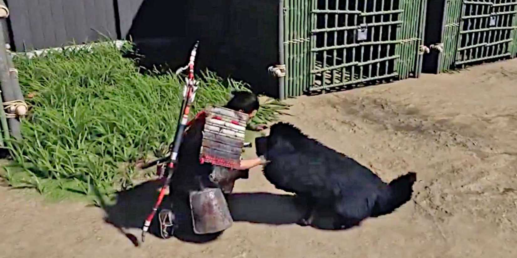 Jin recruiting a Canine