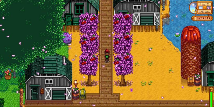 Cherry Trees Stardew Valley