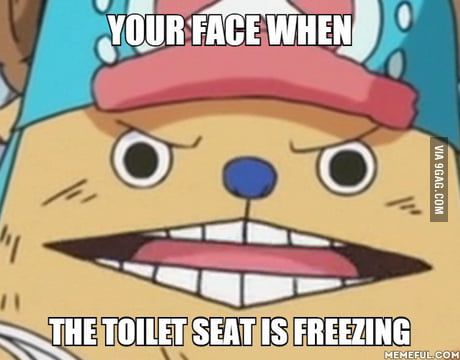 Chopper's Facial Expression Cold Toilet Seat