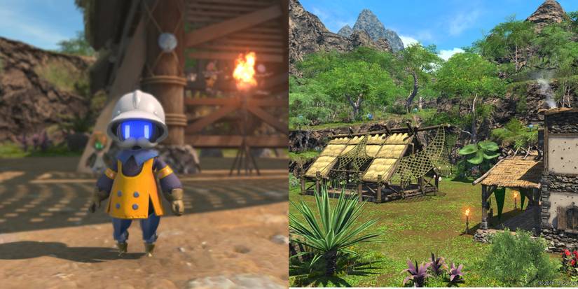 Split image of mammet and island.