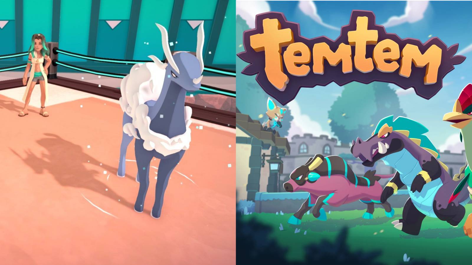 Temtem, Sophia, Arissola dojo
