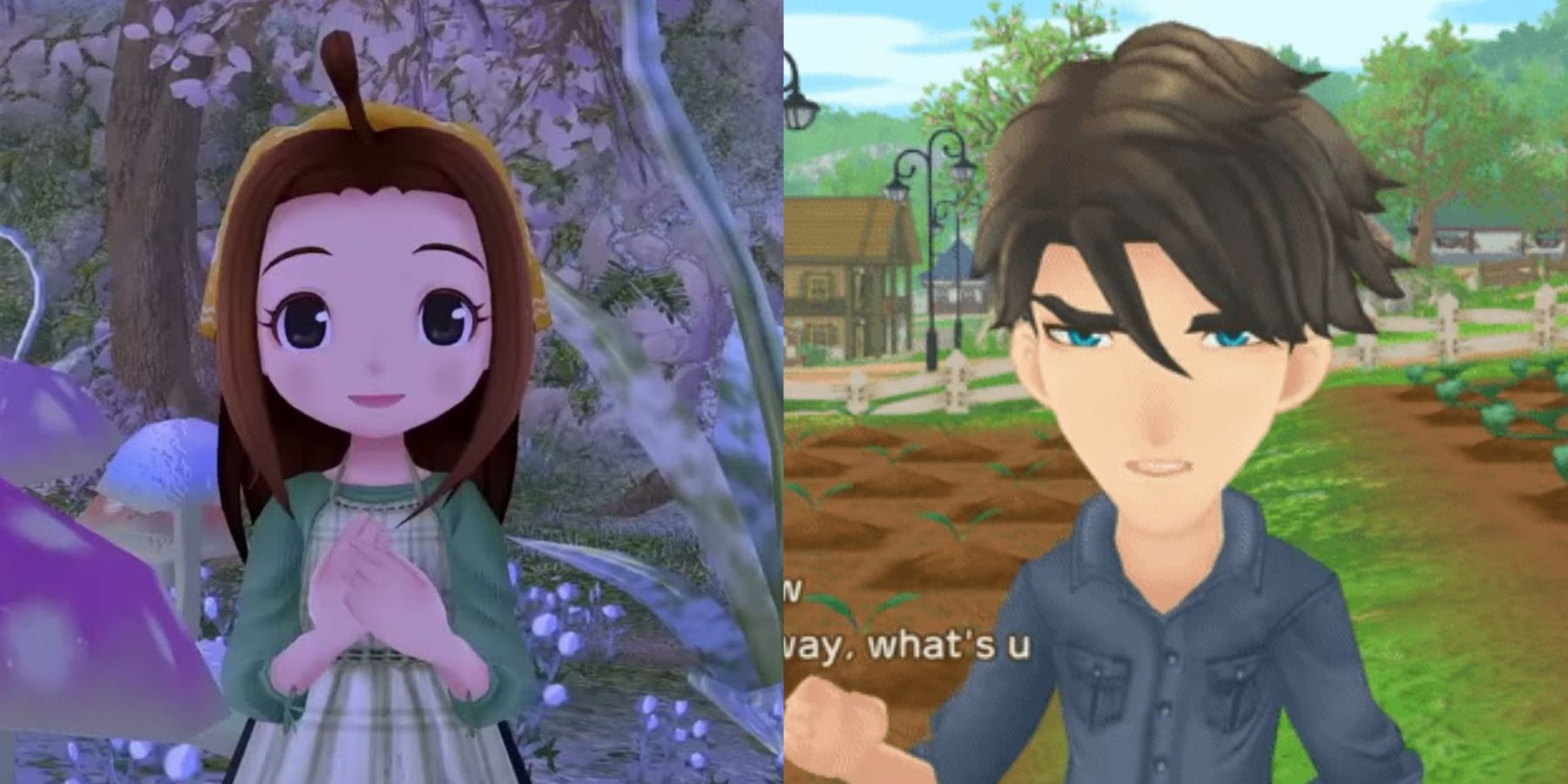 story of seasons a wonderful life matthew