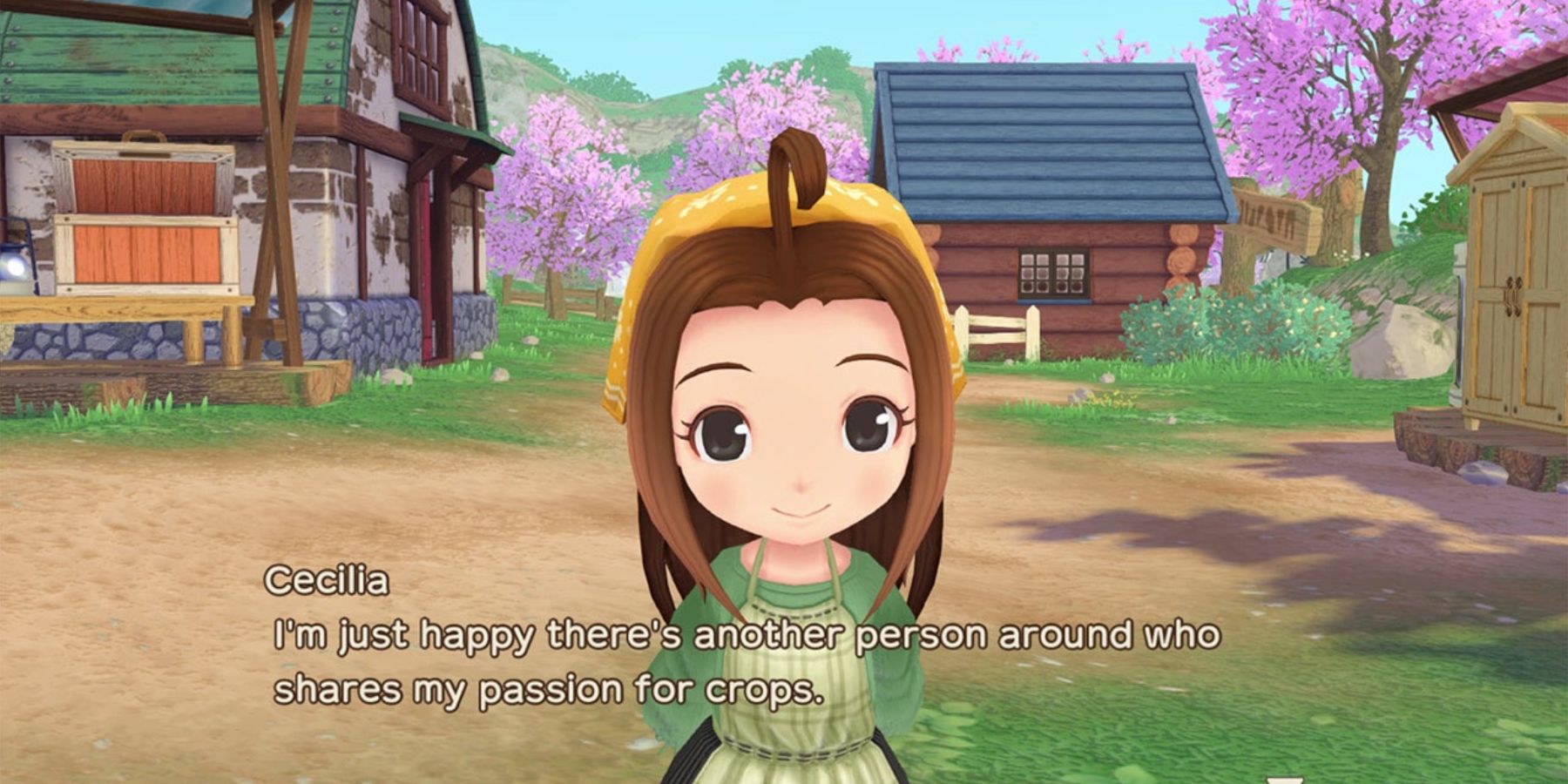Story of Seasons: A Wonderful Life - All Confirmed Characters (and Old  Characters Not Confirmed Yet)