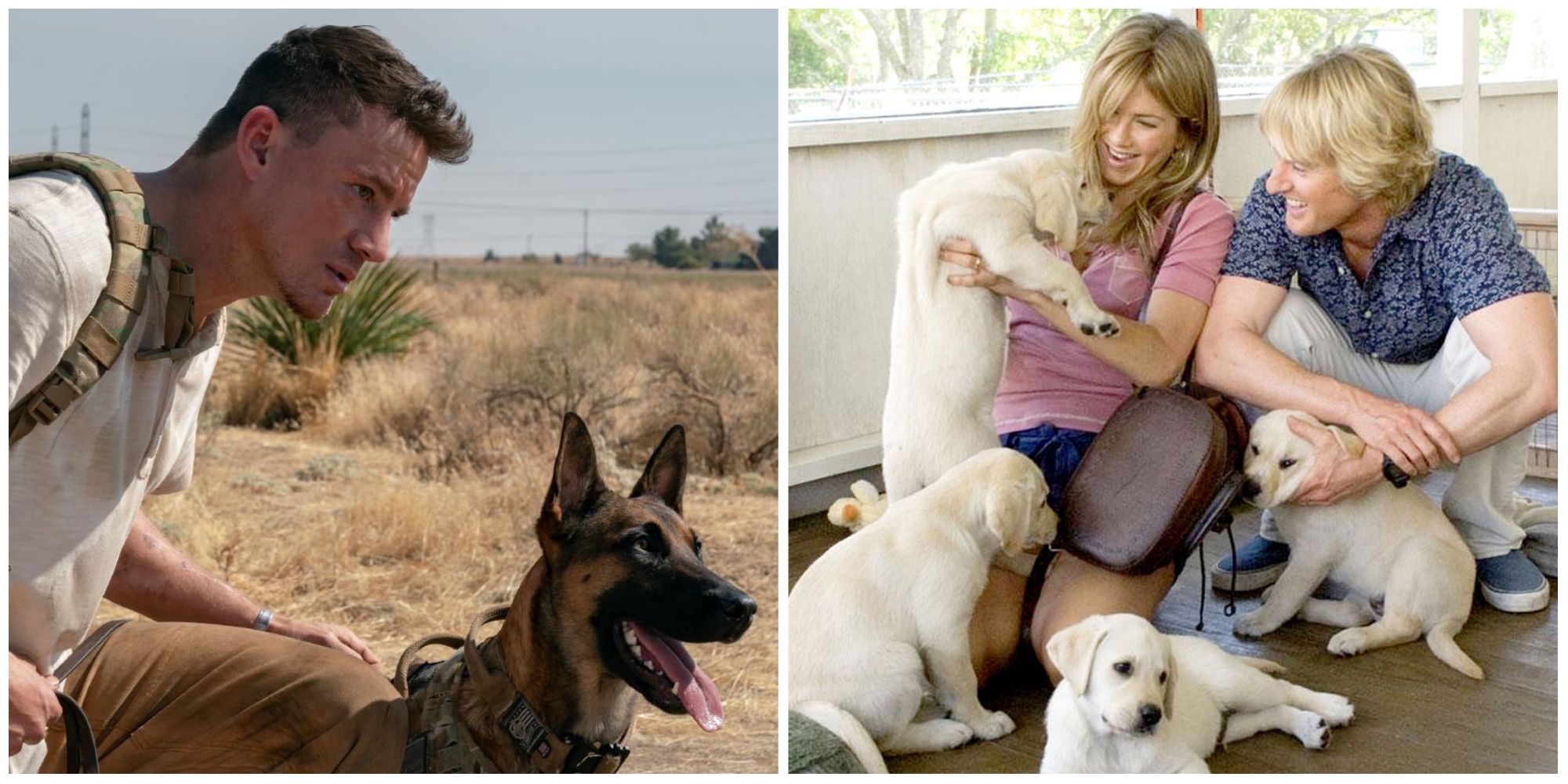 10 Best Movies & Shows For Dog Lovers on Amazon Prime Video Dog Marley and Me