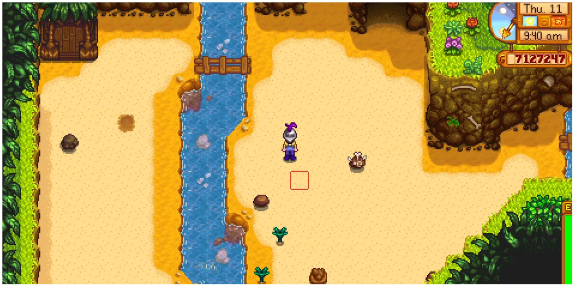 Stardew Valley Dig Site