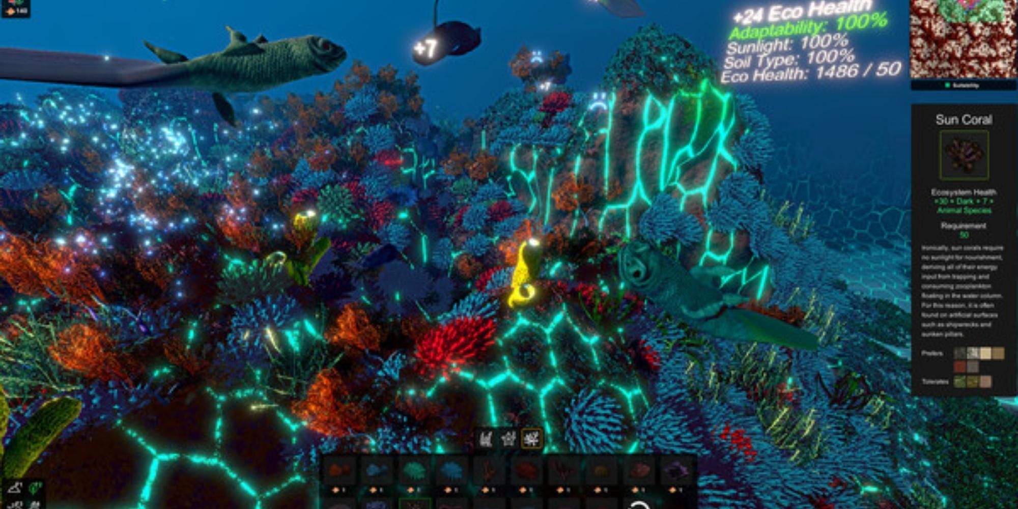 fish and coral in Ecosystem