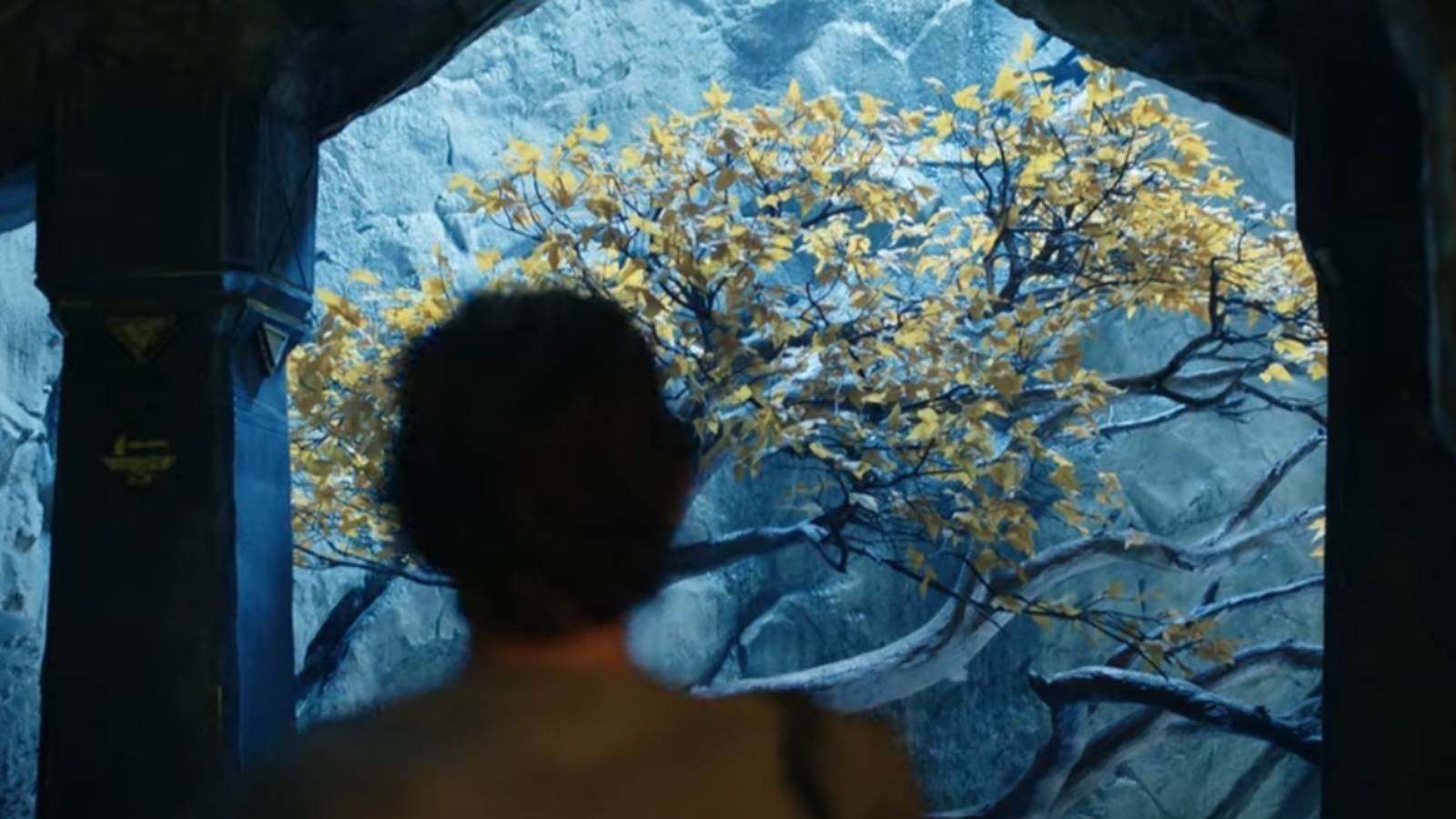 Elrond looking at Durin's tree