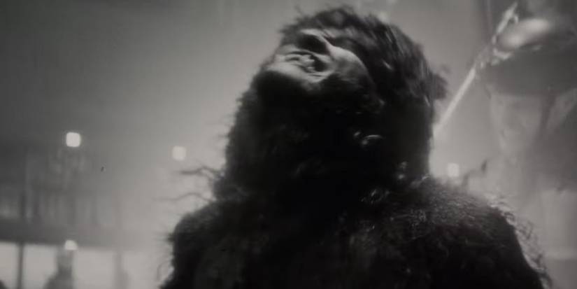 jack russell being shocked as a werewolf