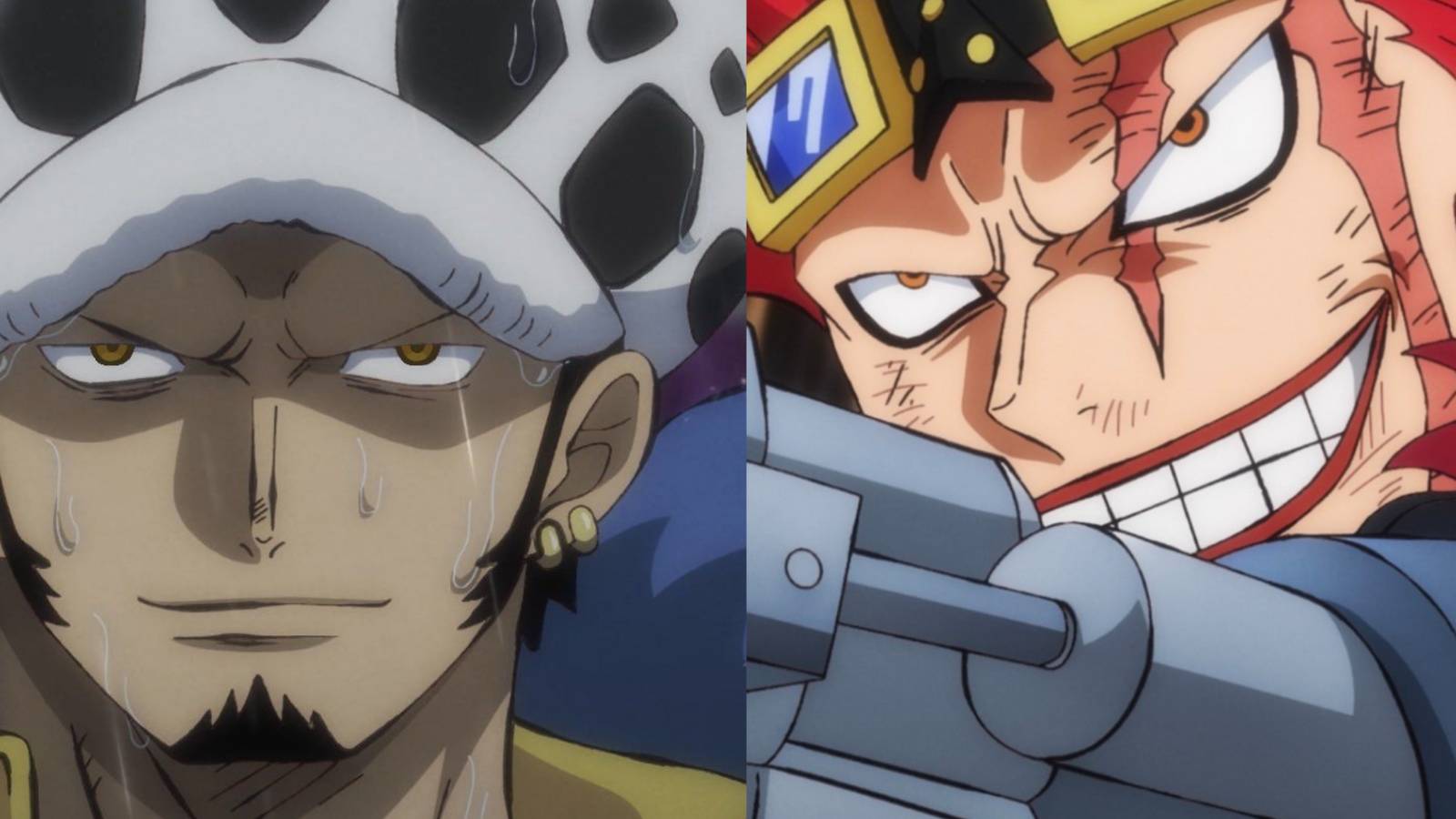 Featured Law Kid Edge Over Luffy