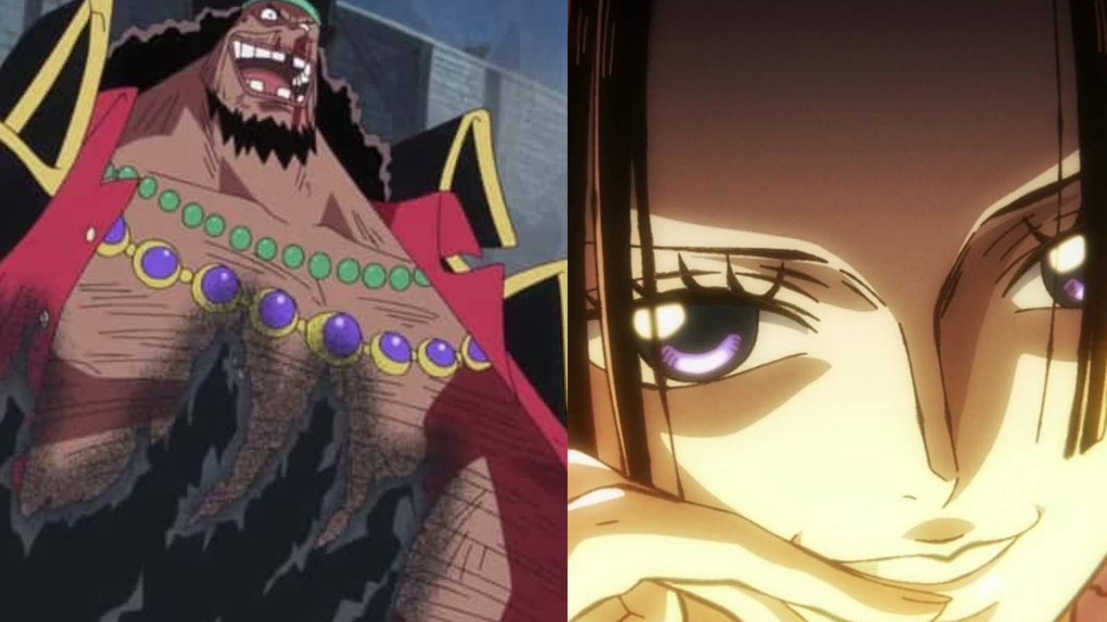 Featured New Haki User One Piece Boa Hancock Blackbeard 