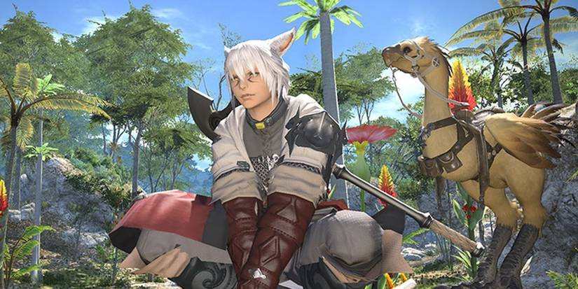 A kneeling Final Fantasy 14 character with a chocobo in the background