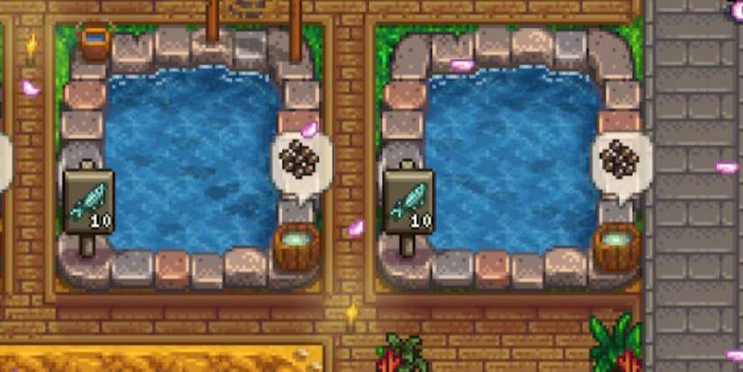 Fish Ponds Sturgeon Stardew Valley