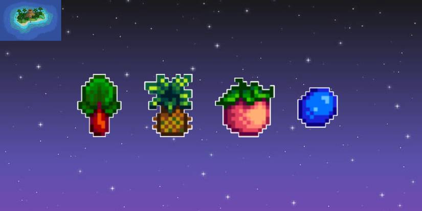 Ginger Island Mixed Seeds Stardew Valley