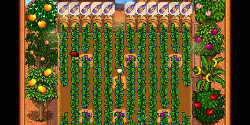 Greenhouse with Crops, Fruit Trees, and Kegs Stardew Valley