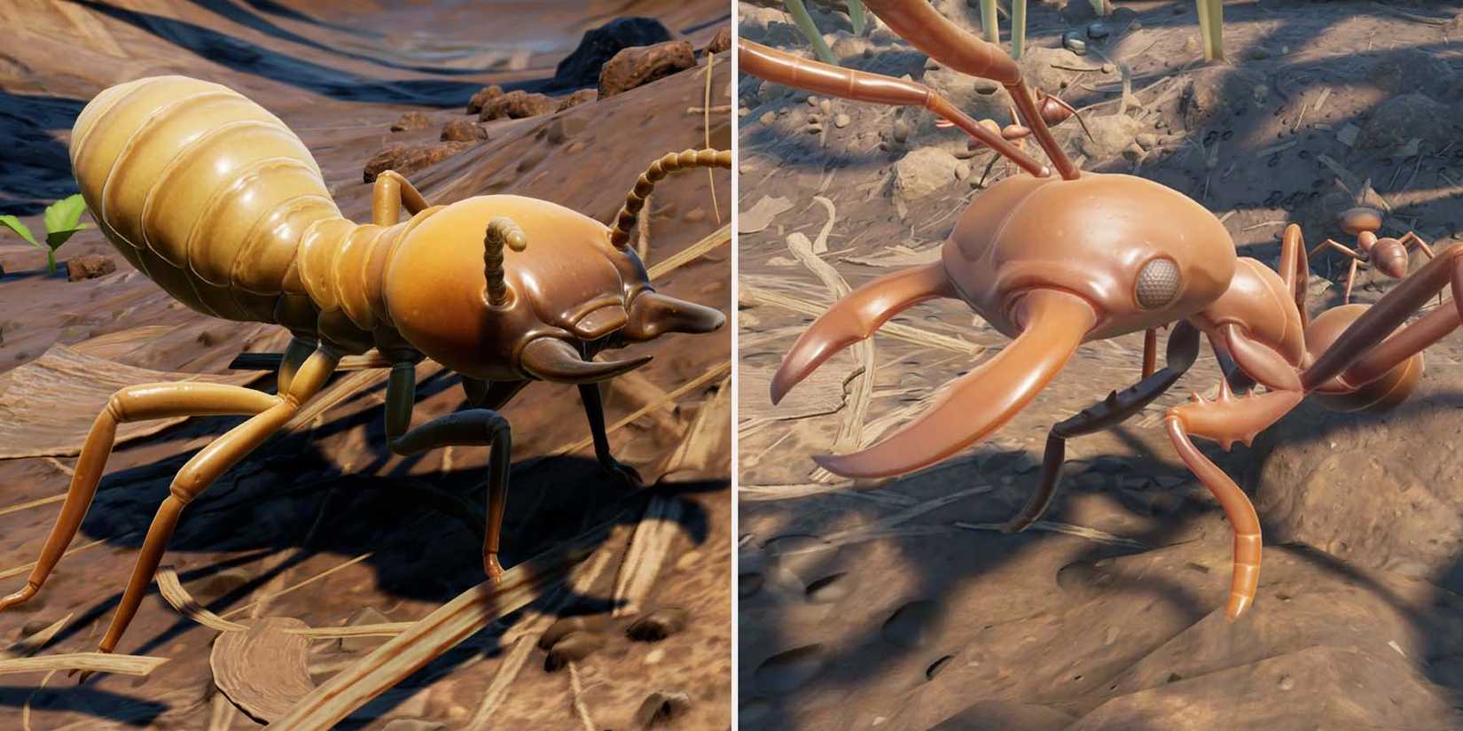 GroundedTermiteSoldierAnt