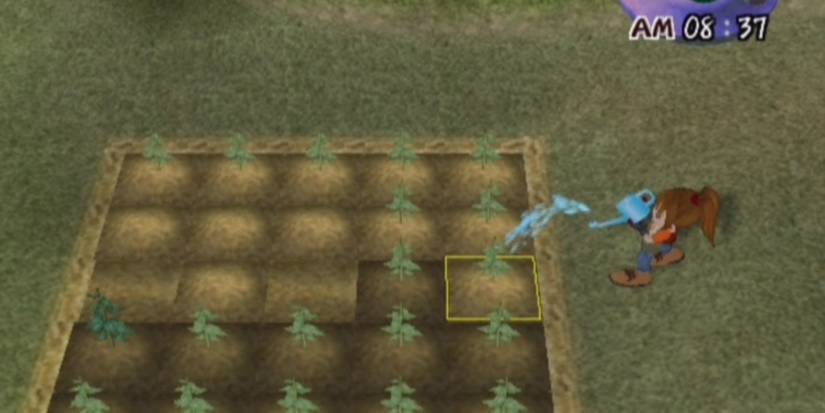 Harvest Moon Another Wonderful Life screenshot of the main character watering plants