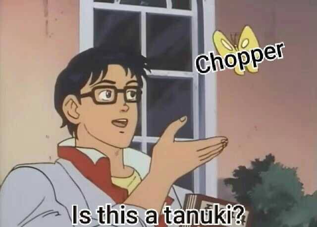 Is Chopper A Tanuki Butterfly Meme