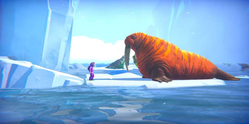 Little Orpheous - Walrus