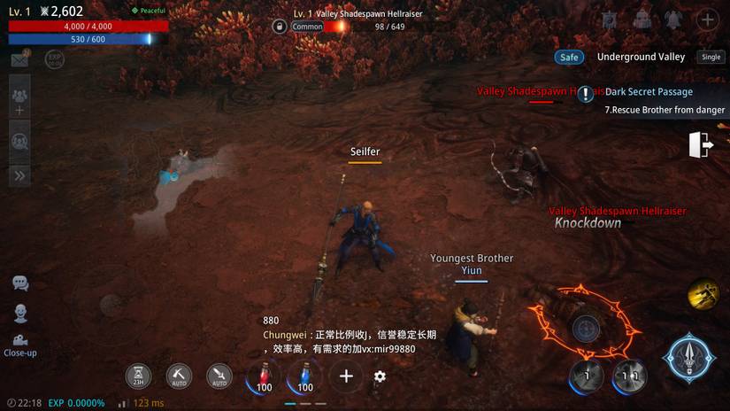 MIR4 Lancer in action fighting enemies while protecting NPC