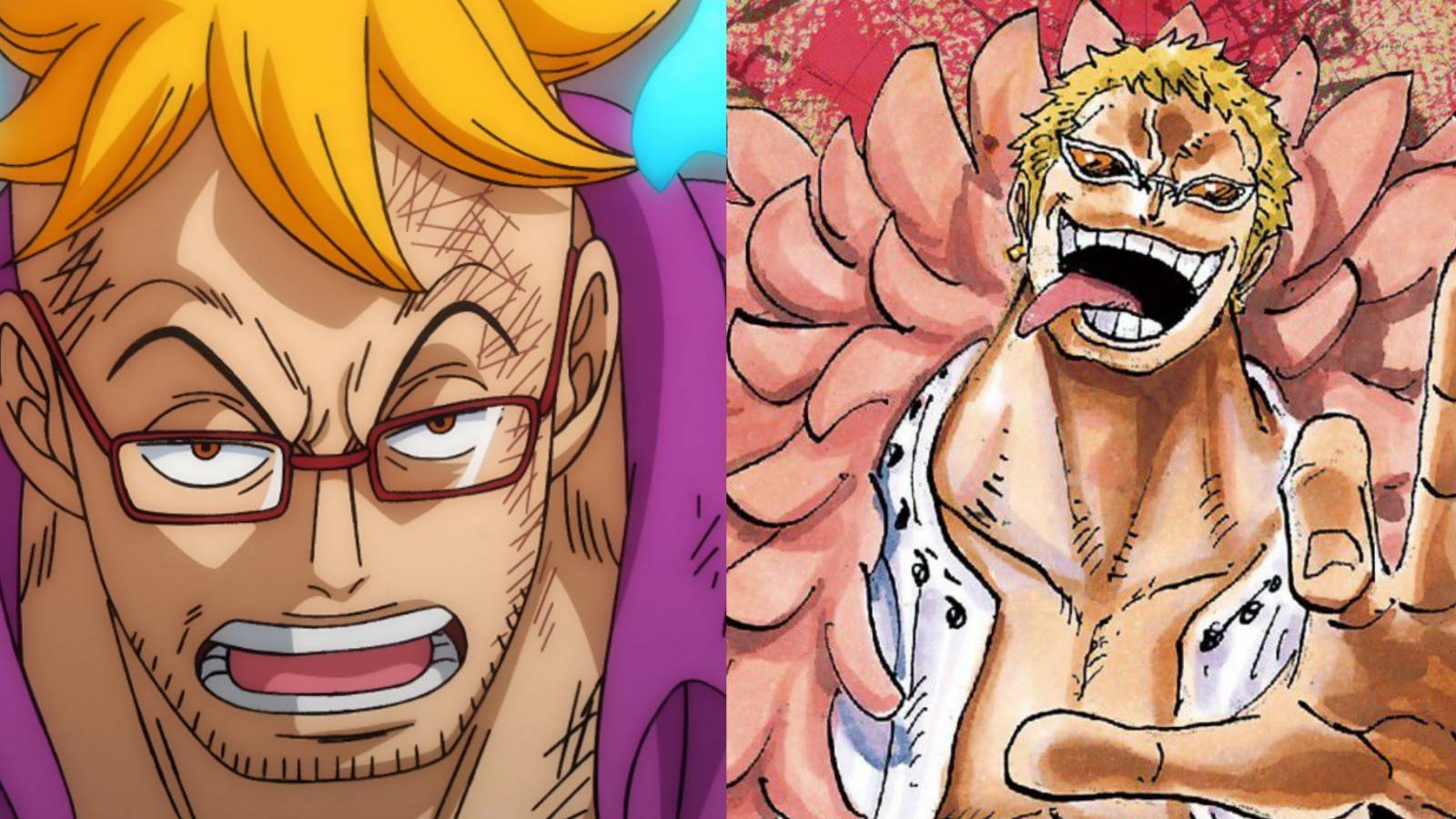 Marco and Doflamingo