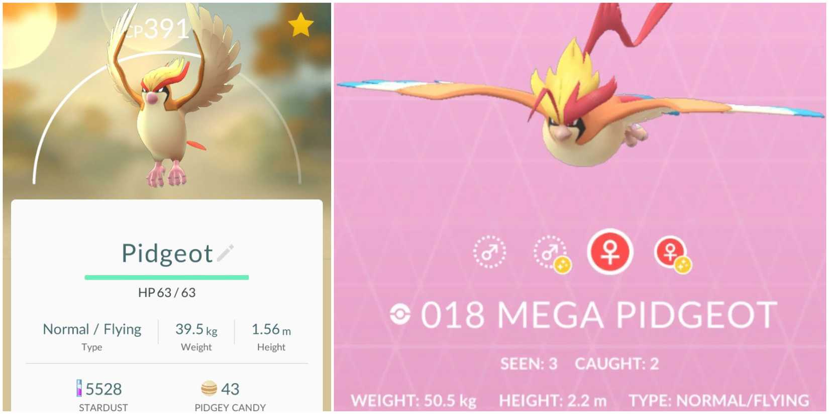 Mega Pidgeot Pokemon GO