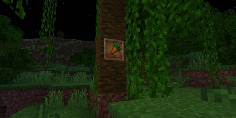 Minecraft Glowing Item Frame