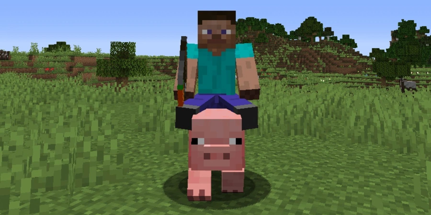 Minecraft Player Riding Pig