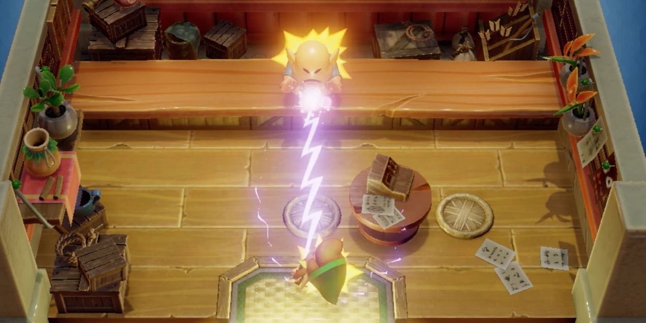 NPC Harm Punish- Legend of Zelda Link's Awakening Switch