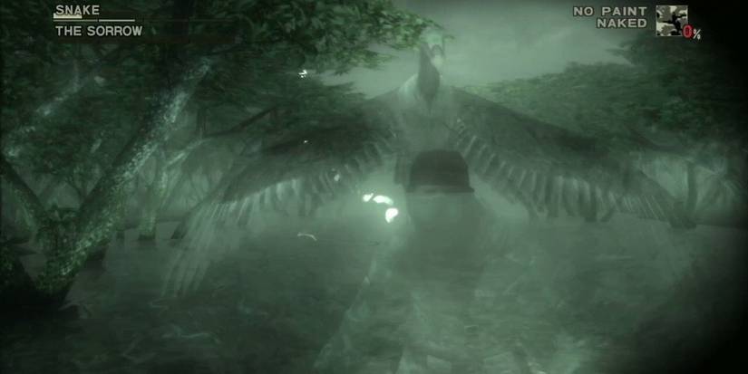 NPC Harm Punish- MGS3 Ghost 