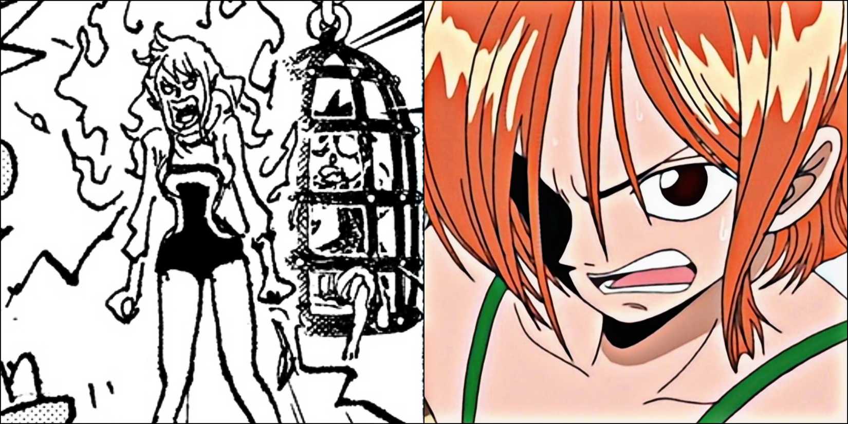 Nami Conqueror's Haki One Piece