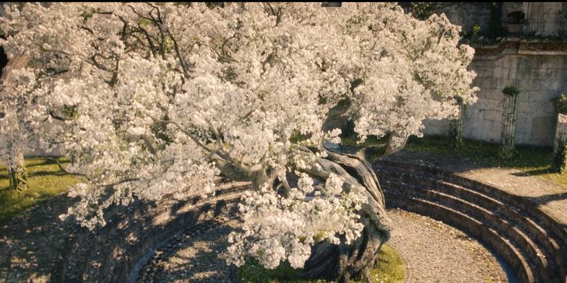 Nimloth The White Tree Rings of Power