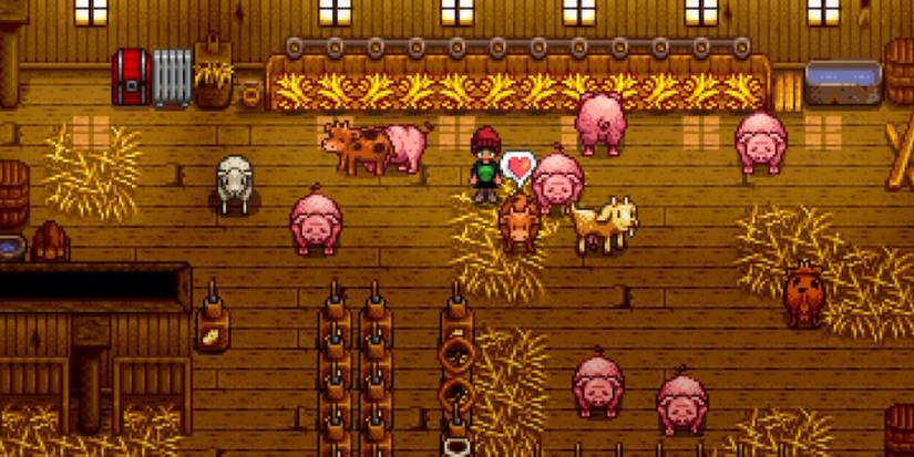 Petting a Cow Stardew Valley