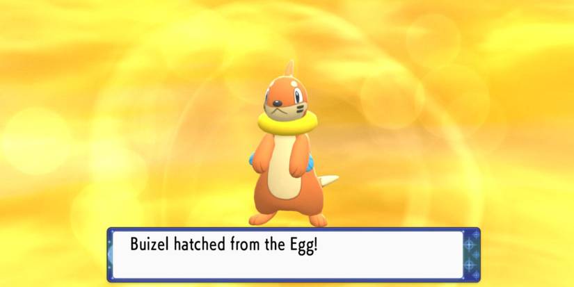 Pokemon Buizel Hatching