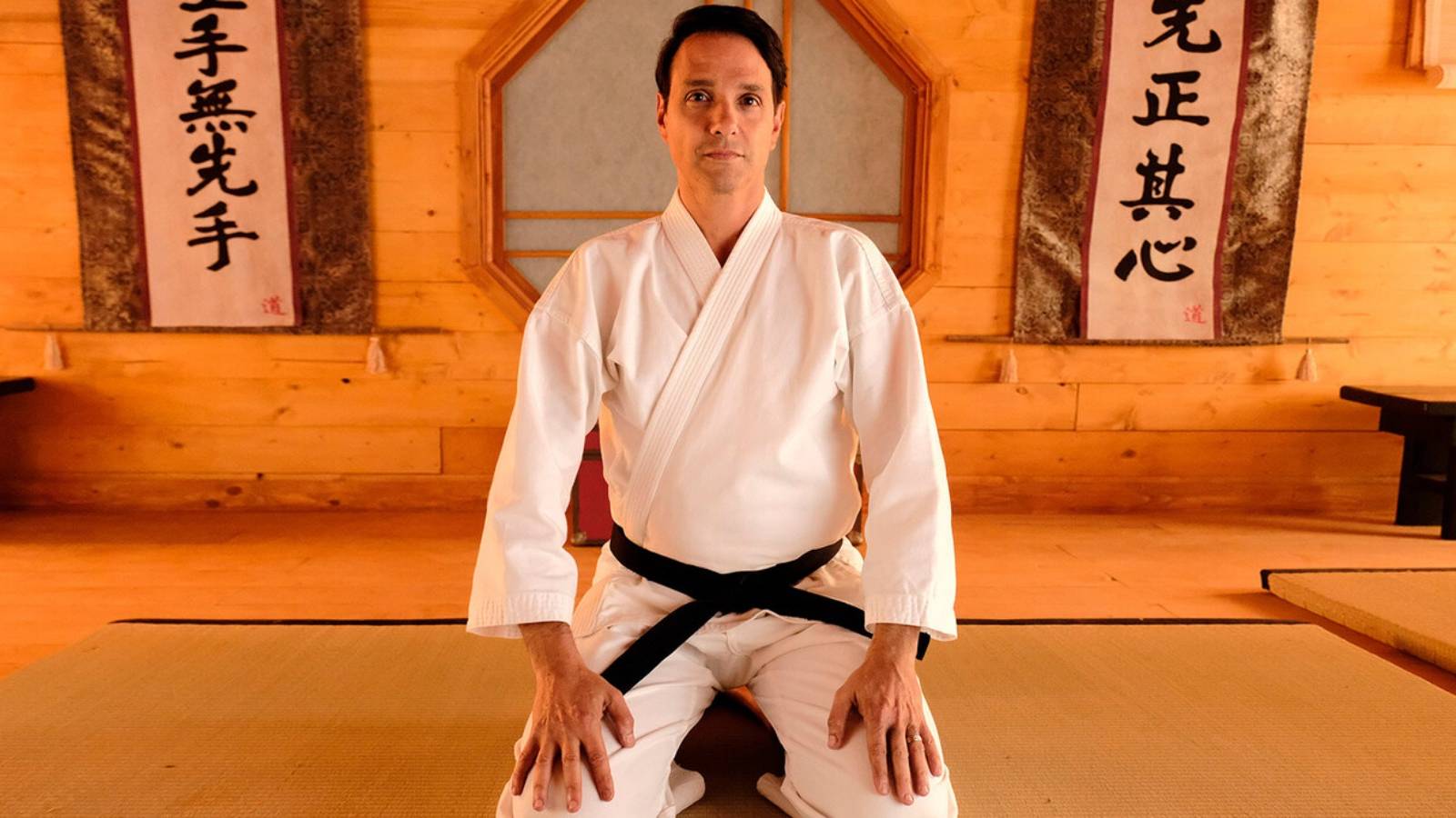 Ralph Macchio Daniel LaRusso Cobra Kai Karate Kid