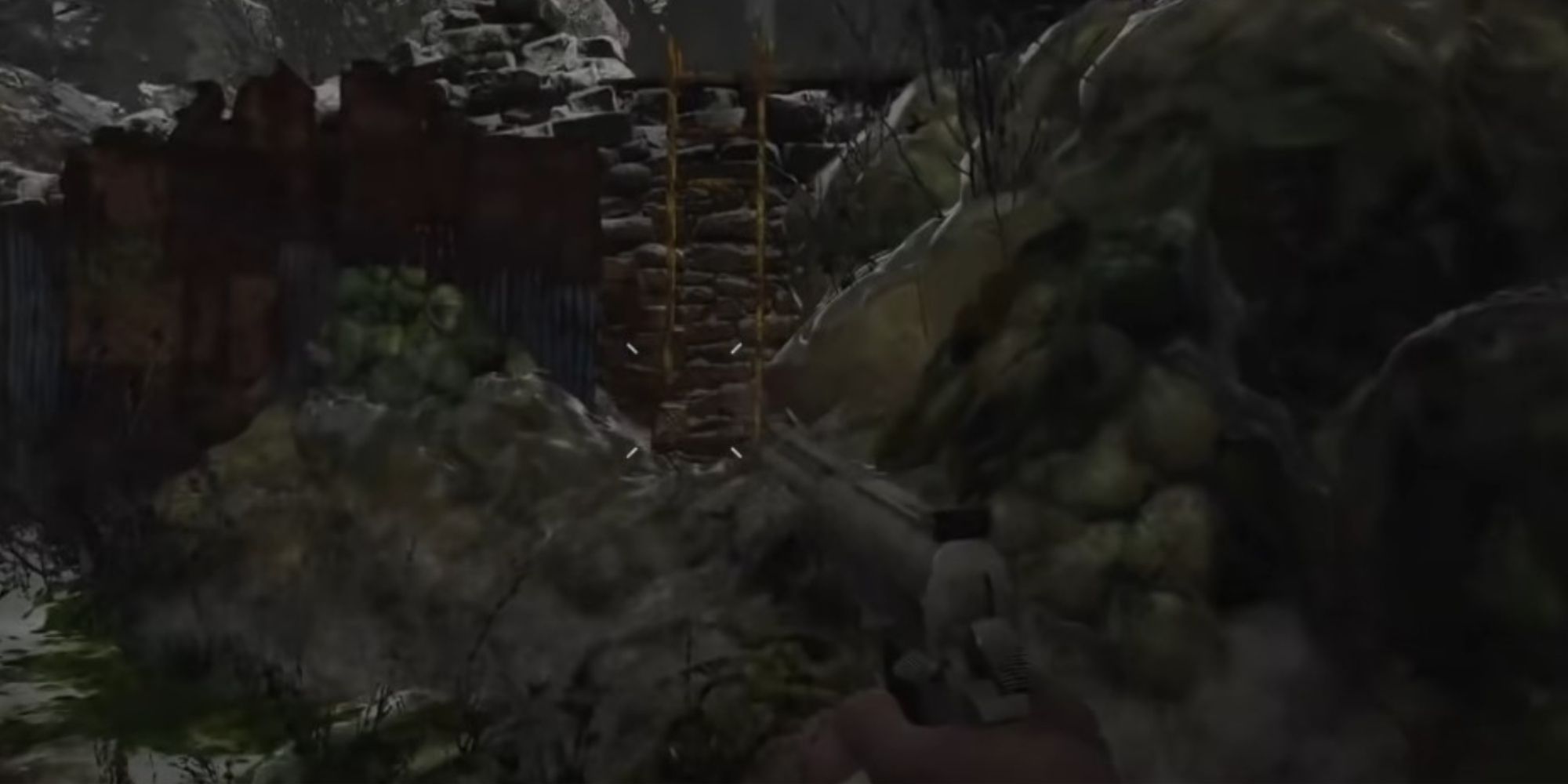 Resident Evil Village Green Pustules Covering A Ladder