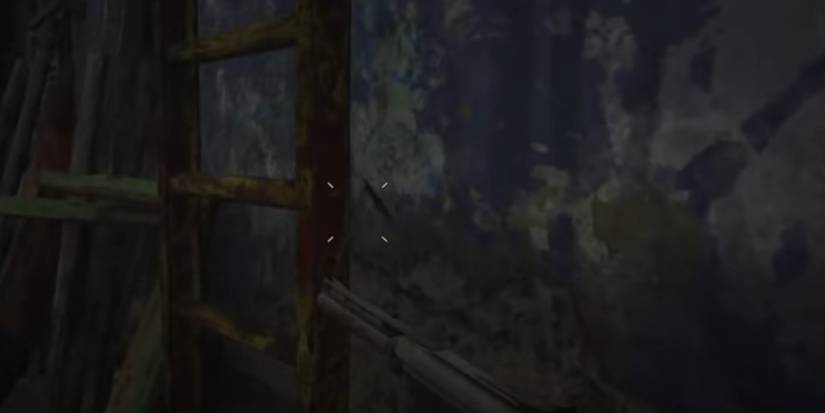 Resident Evil Village The Ladder Past The Chicken Coop