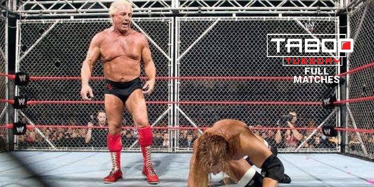 Ric Flair против Triple H Steel Cage