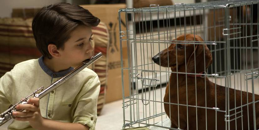 Remi and Wiener-Dog in Wiener Dog