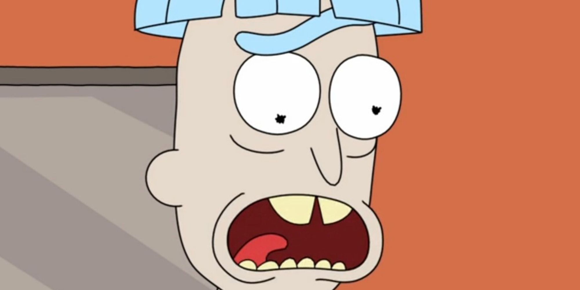 Doofus Rick In Rick And Morty