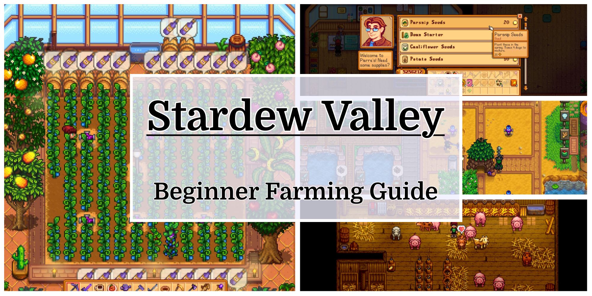 Stardew Valley: In-Depth Newbie Farming Information