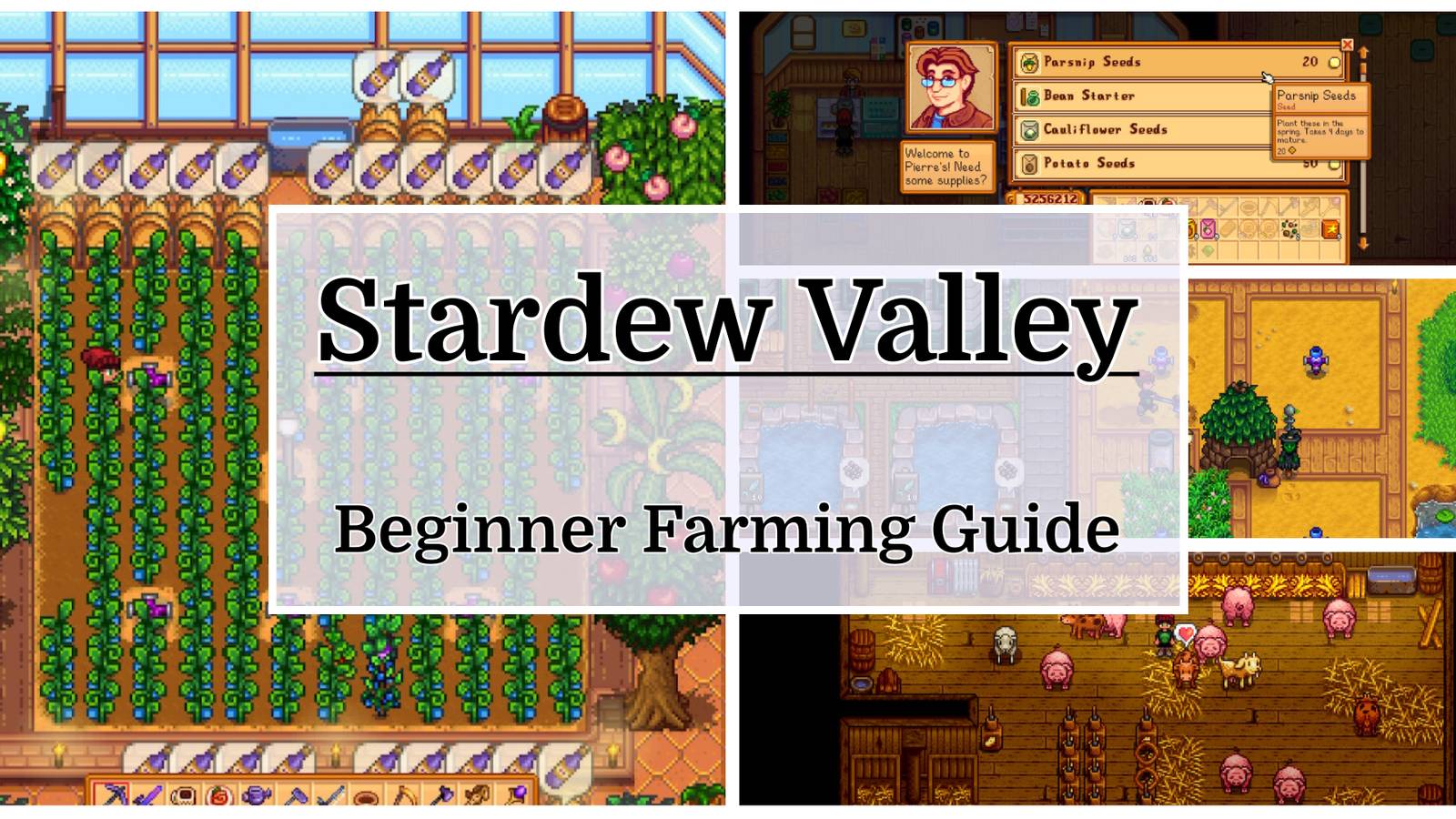 Stardew Valley Farming Beginners Guide