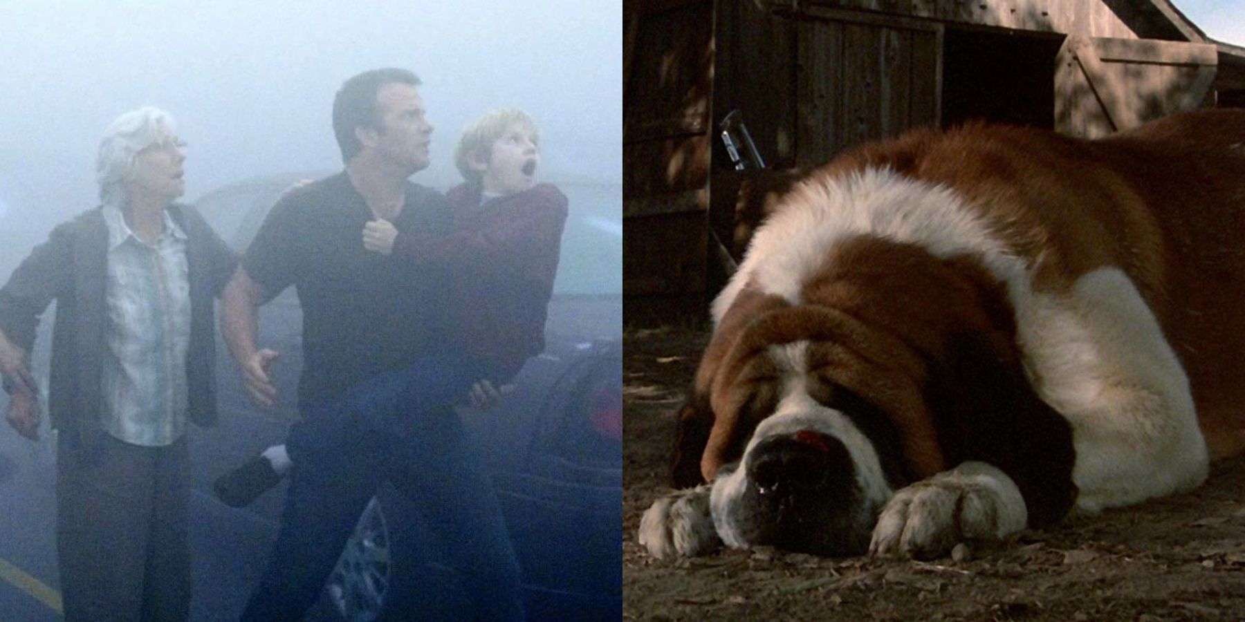 Split image of characters in fog in The Mist and Cujo lying on the ground in Cujo