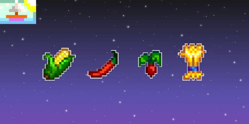 Summer Mixed Seeds Stardew Valley