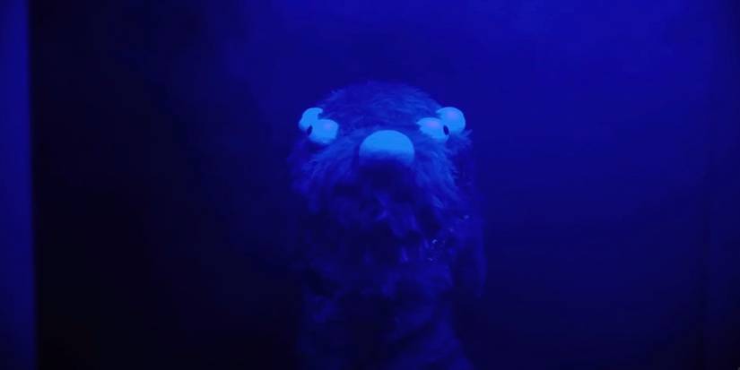 The Carehound in Don’t Hug Me I’m Scared