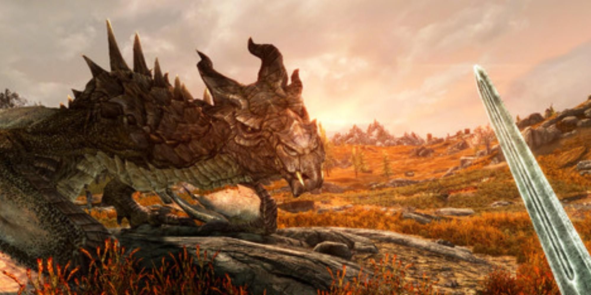 dragon in The Elder Scrolls V Skyrim VR