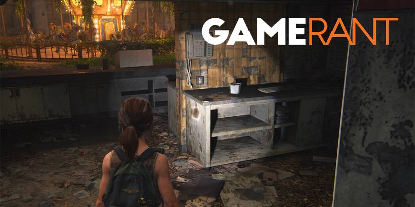 The Last of Us Left Behind Artifacts 10